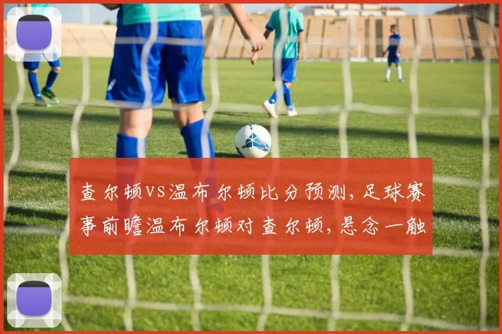 查尔顿vs温布尔顿比分预测,足球赛事前瞻温布尔顿对查尔顿,悬念一触即发,谁能脱颖而出